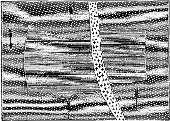 [Illustration: Fragment of gneiss embedded in another variety of the same rock.]