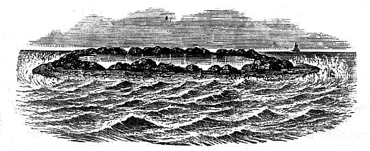 [Illustration: Whitsunday Island]