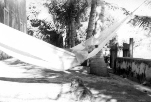 Stressful life at the Hacienda Kambul!  The author's son on the hacienda terrace; in the foreground their pet dog, a Mexican Maltese, named Mona, whose namesake appears in _When the Owl Cries_.