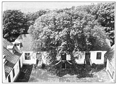 THE COURTYARD OF VOSBORG