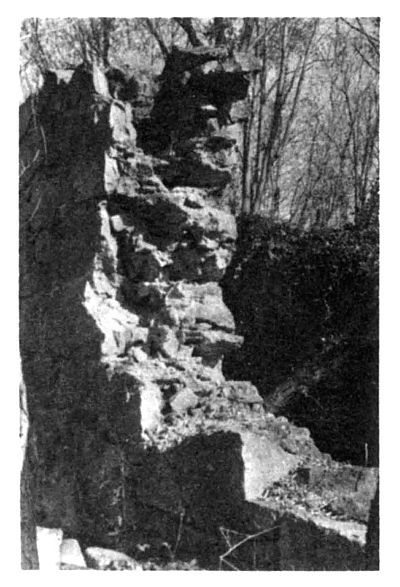 Old foundation