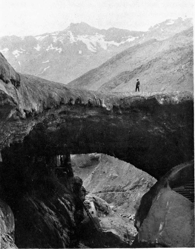 THE INCA BRIDGE IN THE ANDES.