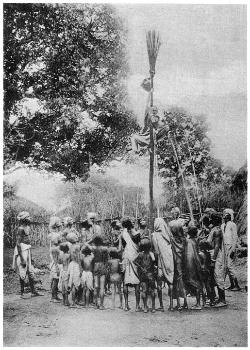 Climbing the pole for a bag of sugar