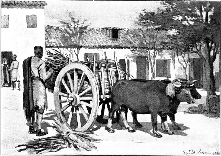 BULLOCK CART, PODGORITZA.