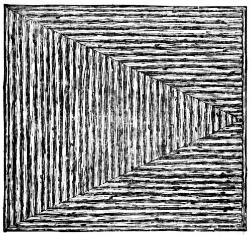 Fig. 120.—Half Plan of Aviary Roof.