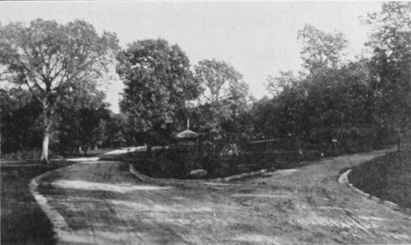 A SCENE IN BEVER PARK, CEDAR RAPIDS