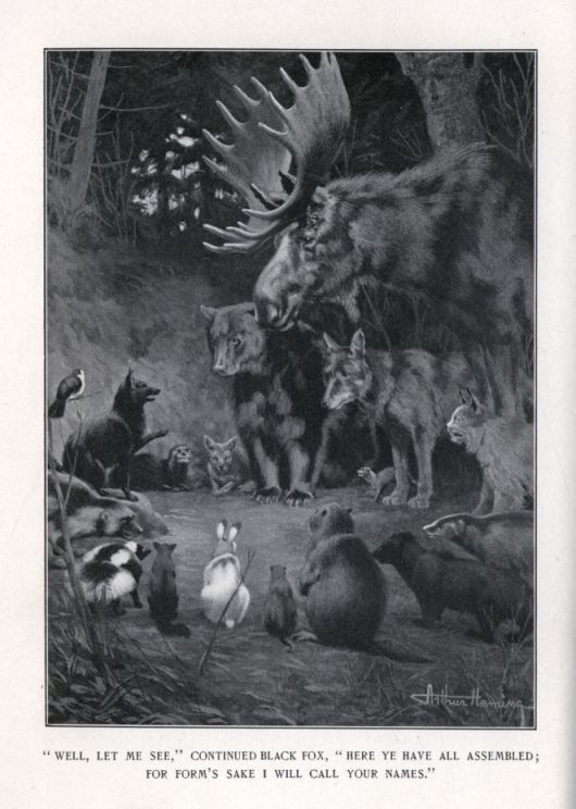 "WELL, LET ME SEE," CONTINUED BLACK FOX, "HERE YE HAVE ALL ASSEMBLED; FOR FORM'S SAKE I WILL CALL YOUR NAMES."