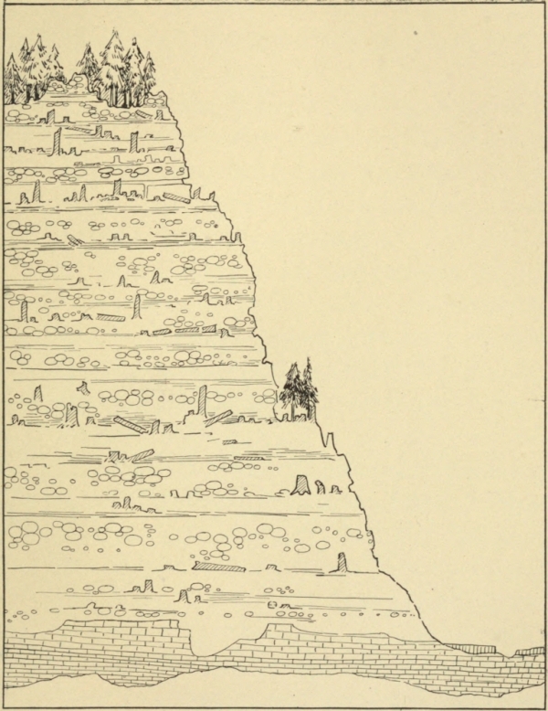 PETRIFIED FORESTS IN AMETHYST MOUNTAIN