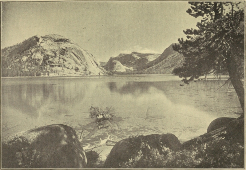 LAKE TENAYA