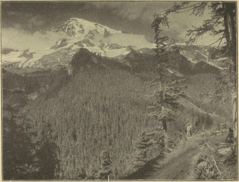 STAGE ROAD, MOUNT RAINIER NATIONAL PARK