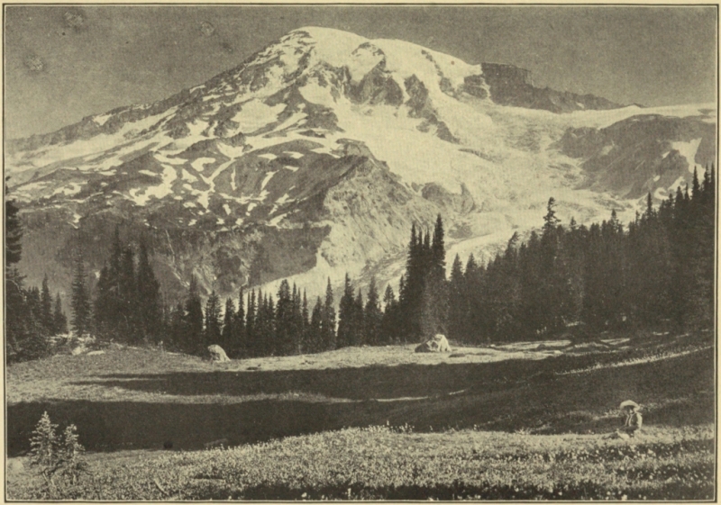 MOUNT RAINIER FROM PARADISE VALLEY