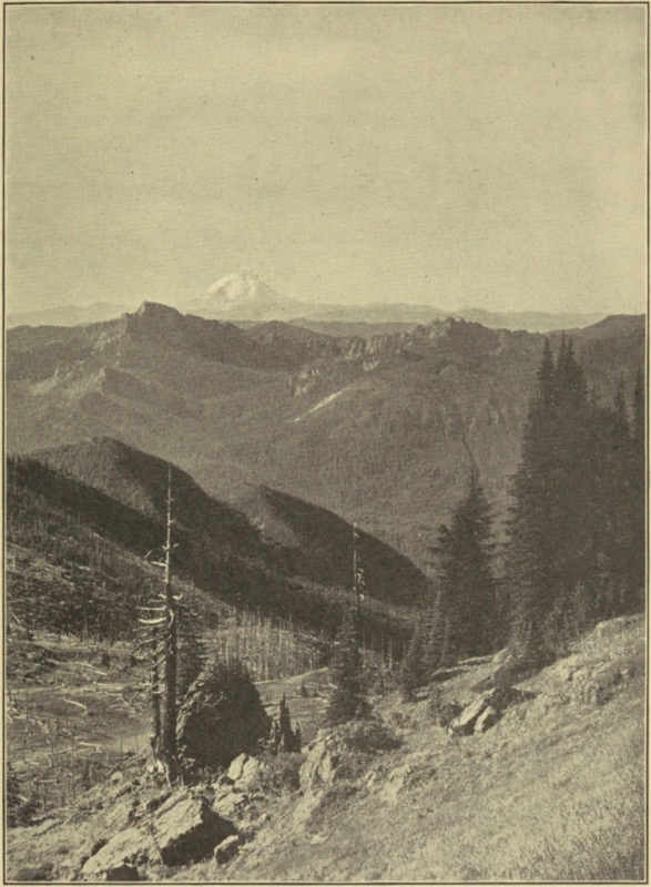 MOUNT ST. HELENS