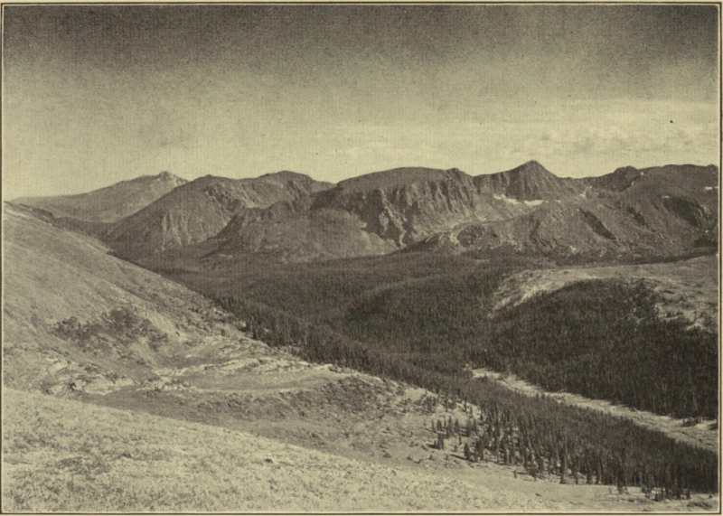 ABOVE THE TIMBER-LINE IN THE ROCKY MOUNTAIN NATIONAL PARK