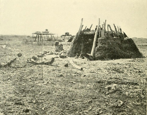 A Cocopa Dwelling, near Mouth of the Colorado.