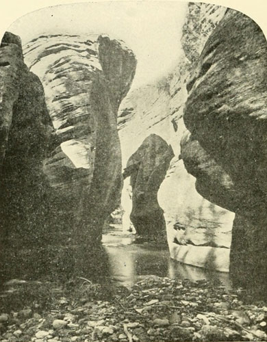 The Canyon of Brush Creek—Looking Up.