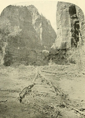 Mukoontuweap Canyon, North Fork of the Virgen.