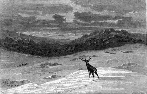 A PYRENEAN LANDSCAPE.