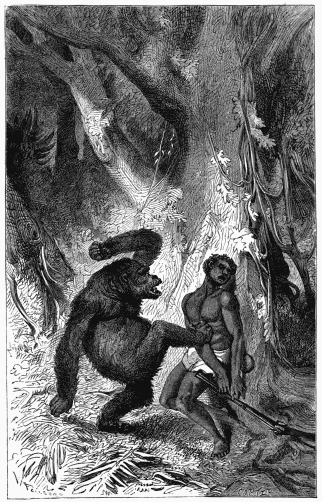 A GORILLA KILLING A NEGRO.