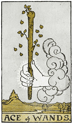 Ace of Wands