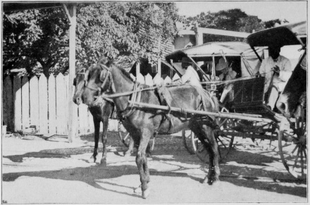 The “Coaches” Port-au-Prince, Haïti