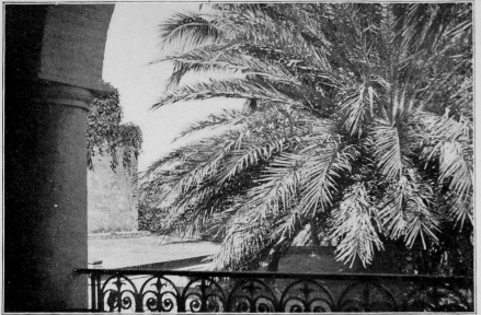 Courtyard of the American Legation Haïti