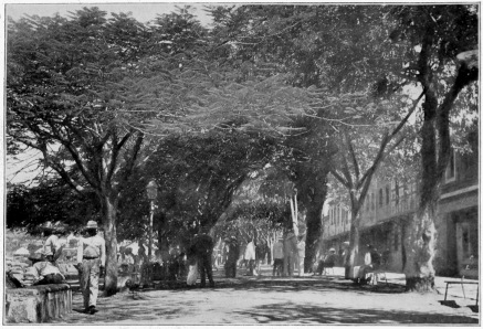 Near the Landing-Place St. Pierre, Martinique