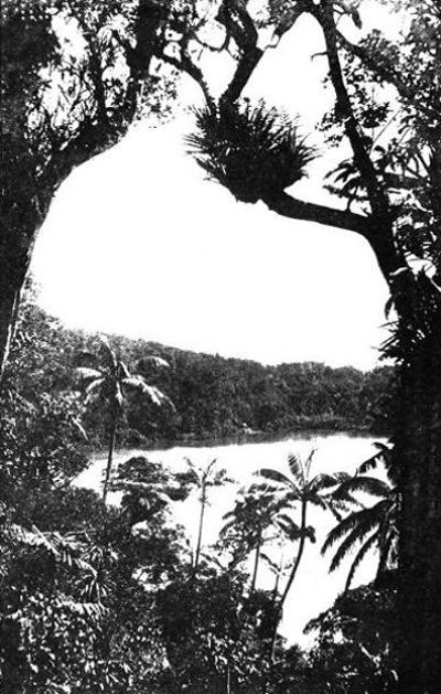 A quiet inlet on the coast of Samoa