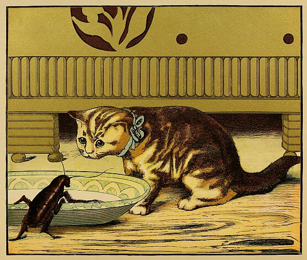 Kitten looking at beetle at dish of milk