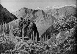 THE QUDSHANIS MOUNTAINS.  From the village of Shwawutha, the scene of the incident related on p. 263. The Zab river is just visible at the foot of the glen, and beyond it rises the great mass of the Kokobuland Dagh. Qudshanis lies just below the snow line, at the head of the lateral valley opposite.  No. 10