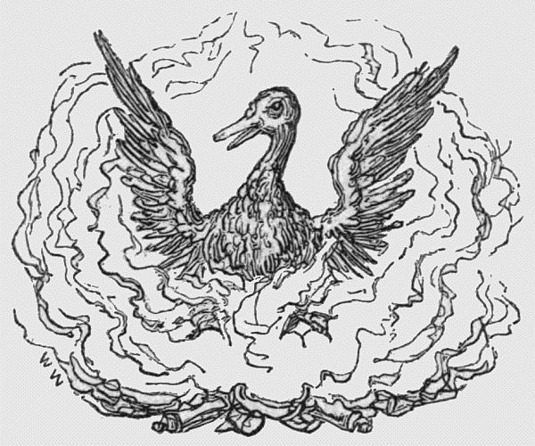 Duck in a fire