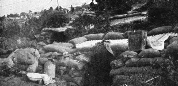 An Officer's Dugout