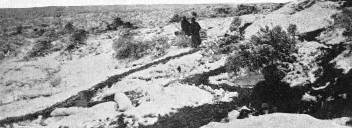 New Zealand Troopers in the Snow