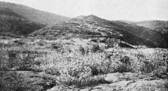 Rhododendron Spur from the Apex