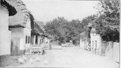 THE SLAVIC HOME IN HUNGARY  A peaceful, little village surrounded by fields of poppies and maize.