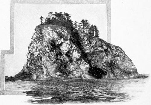 From a Photograph Copyright, 1907, by W. L. Dawson. CARROLL ISLET—SOUTH EXPOSURE. WHERE THE FIRST NEST OF THE SOOTY FOX SPARROW WAS FOUND.