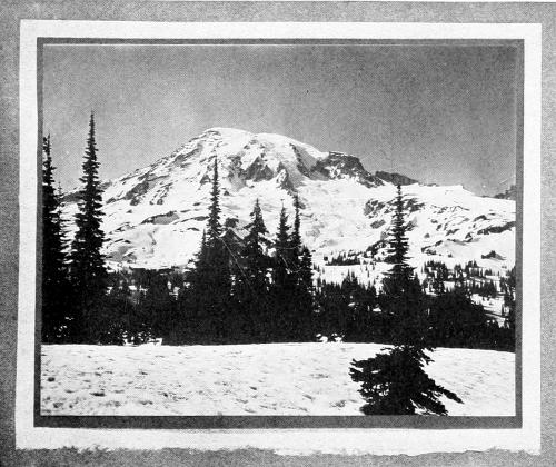 Taken in Rainier National Park. From a Photograph Copyright, 1908, by W. L. Dawson. WITH UNCLOUDED BROW. A HAUNT OF THE SLATE-COLORED SPARROW.