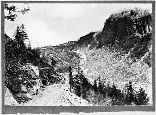 Taken in Rainier National Park. From a Photograph Copyright, 1908, by W. L. Dawson. FOOT OF NISQUALLY GLACIER FROM GOVERNMENT ROAD. A CHARACTERISTIC HAUNT OF THE SIERRA HERMIT THRUSH.