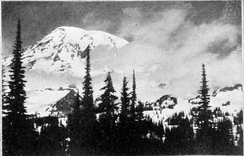 Taken in Rainier National Park. From a Photograph Copyright, 1908, by W. L. Dawson. THE UNVEILING. A FAVORITE HAUNT OF THE KINGLET.