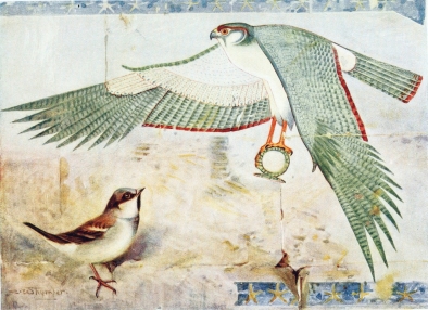 SPARROW  In the Temple at Deir-el-Bahari.