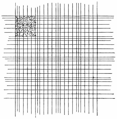 Ordinary ruling of counting chamber