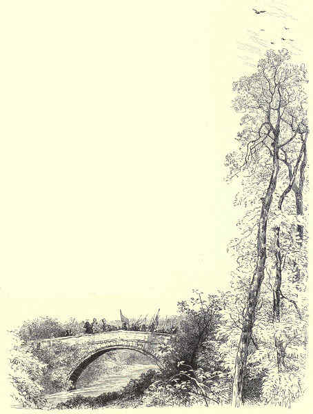 TWISELL BRIDGE.