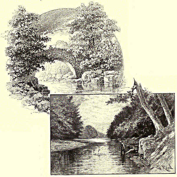 STANHOPE BRIDGE. / ROGERLEY.