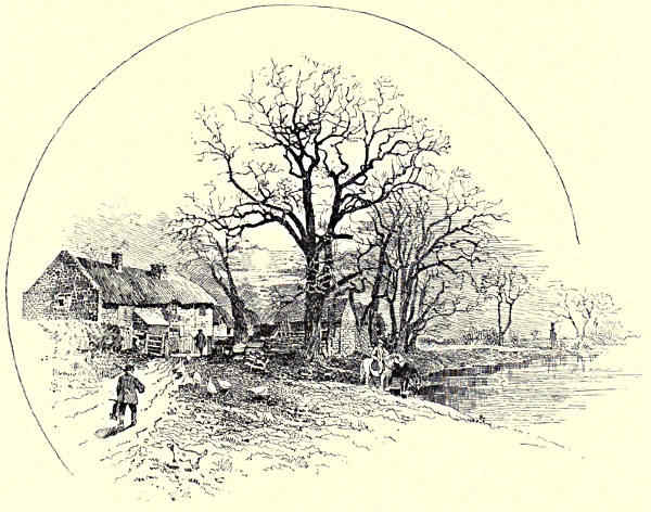 THE “CROW TREES,” BARROW-ON-TRENT.