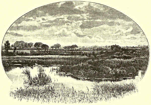 A NORFOLK BROAD.