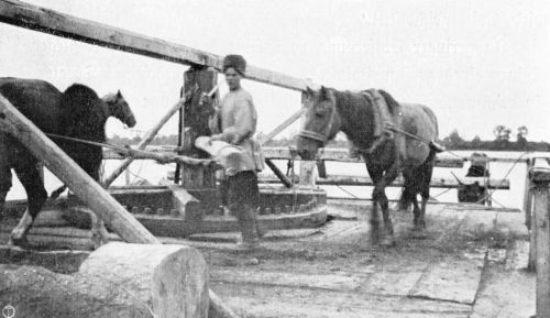 Das Fährboot mit Pferdebetrieb.