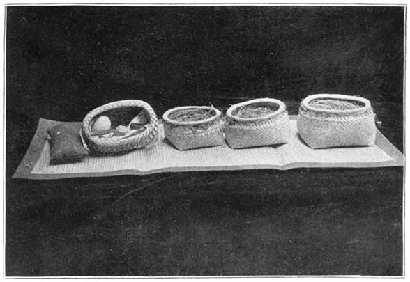 Plate 5.—Rice-Soul Baskets.