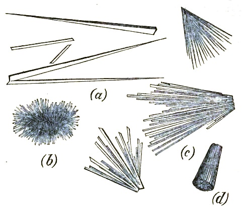 Crystals of Glycocholate of soda