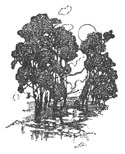 trees beside a stream with the moon rising behind them
