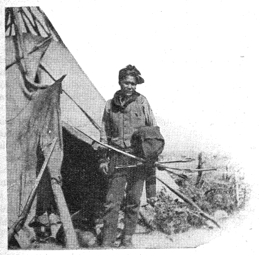 Jeune chasseur Plat-Côté-de-Chien