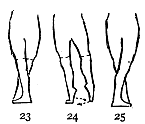 Image not available: 23 24 25  “Assemblé.”  See figure 26.